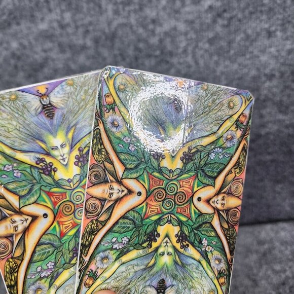 Tarot: Waking the Wild Spirit of Nature Deck Set Cards (78) by Poppy Palin - Picture 14 of 15